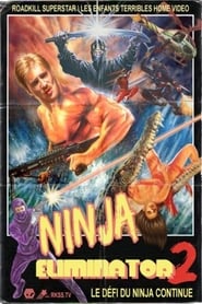 Ninja Eliminator 2 Quest of the Magic Ninja Crystal' Poster