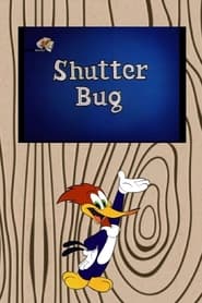 Shutter Bug' Poster
