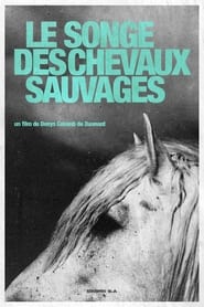 Le Songe Des Chevaux Sauvages' Poster
