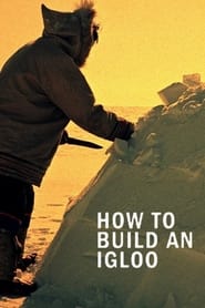 How to Build an Igloo' Poster