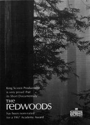 The Redwoods' Poster