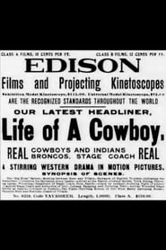 The Life of a Cowboy' Poster