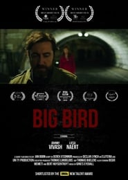 Big bird' Poster