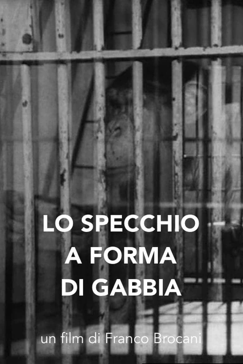 Lo specchio a forma di gabbia Poster