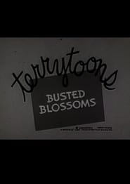 Busted Blossoms' Poster