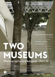 Two Museums' Poster