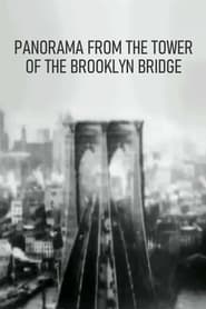 Panorama from the Tower of the Brooklyn Bridge' Poster