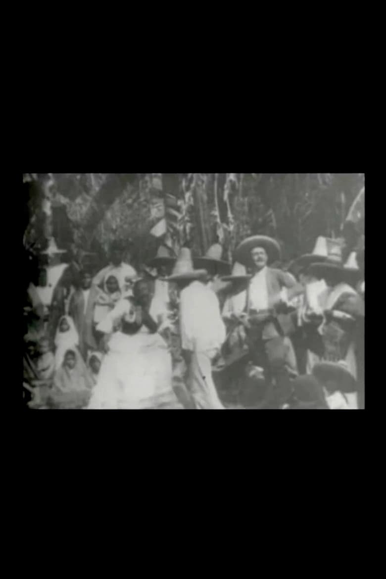 Jarabe tapatÃo Poster