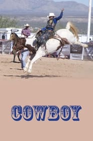 Cowboy' Poster