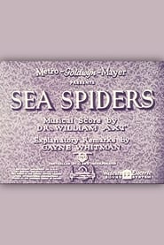 Sea Spiders' Poster