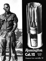 Remington Cal 12' Poster