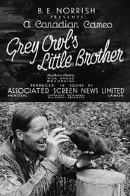 Grey Owls Little Brother' Poster