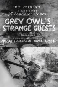 Grey Owls Strange Guests' Poster