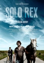 Solo Rex' Poster
