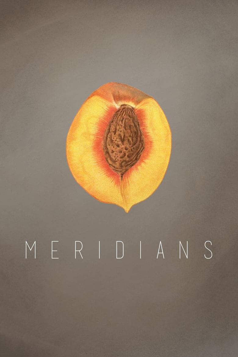 Meridians Poster