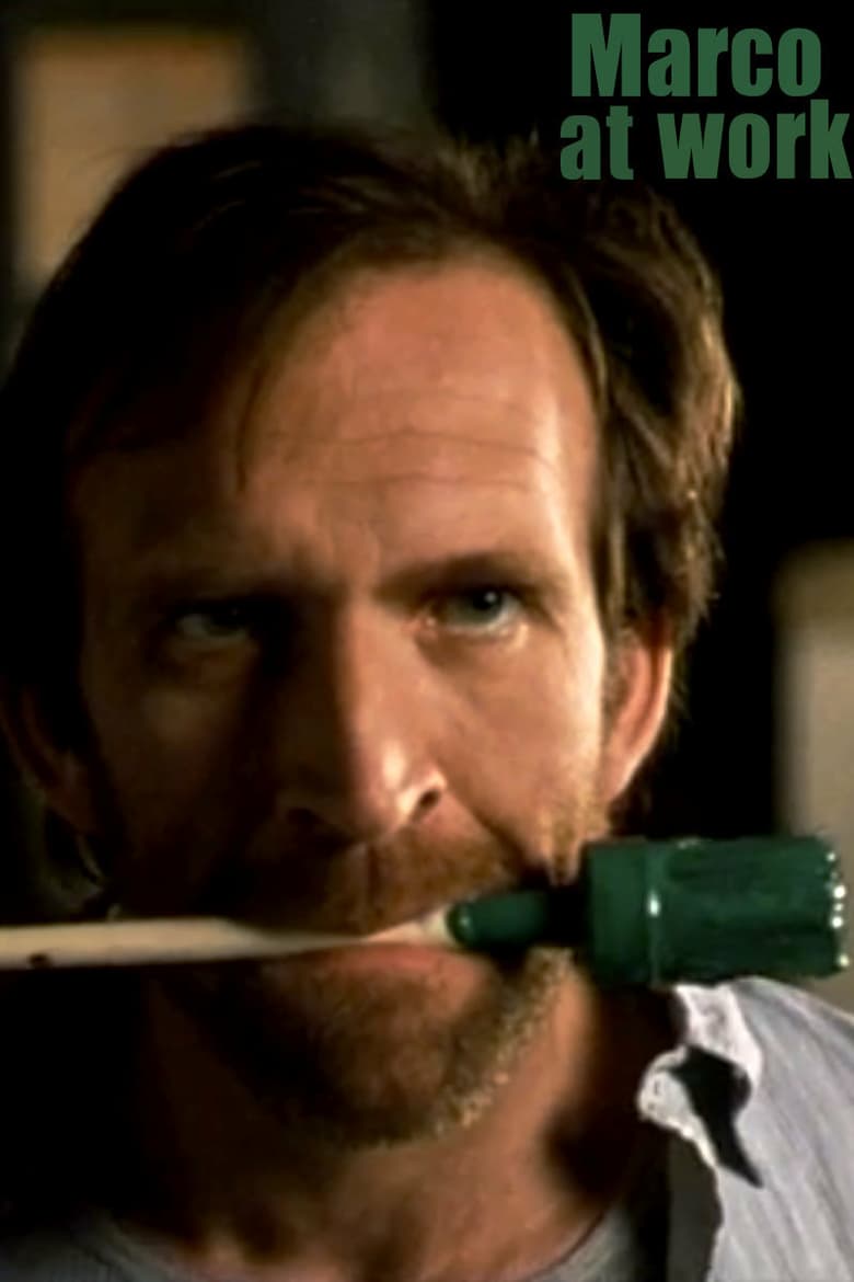 Marco at Work Poster