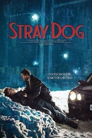 Stray Dog' Poster