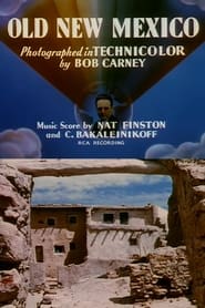 Old New Mexico' Poster