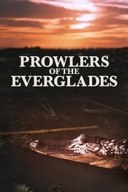 Prowlers of the Everglades' Poster