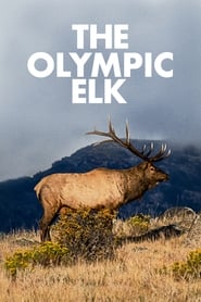 Streaming sources forThe Olympic Elk