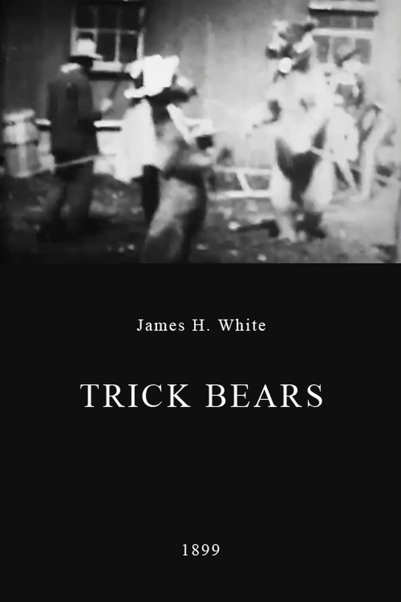 Trick Bears Poster