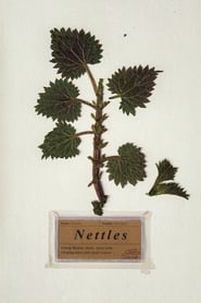 Nettles' Poster