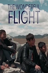 The Wonderful Flight' Poster