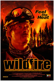 Wildfire Feel the Heat' Poster