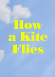 How a Kite Flies' Poster