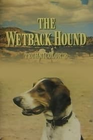 The Wetback Hound' Poster