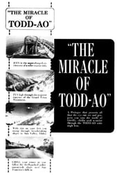 The Miracle of ToddAO' Poster