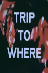 LSD Trip to Where