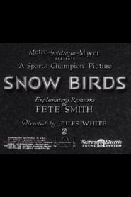 Snow Birds' Poster