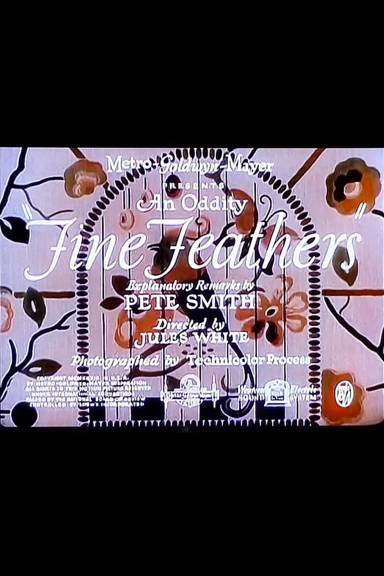 Fine Feathers Poster