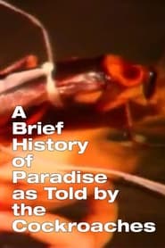 A Brief History of Paradise as Told by the Cockroaches' Poster