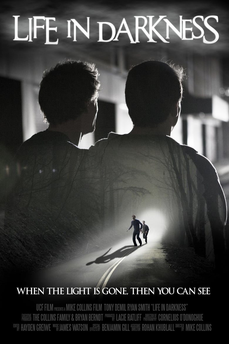 Life in Darkness Poster
