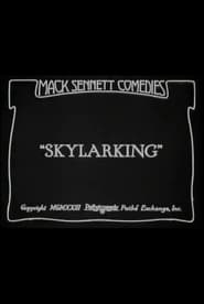 Skylarking' Poster