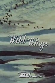 Wild Wings' Poster