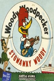 Stowaway Woody' Poster