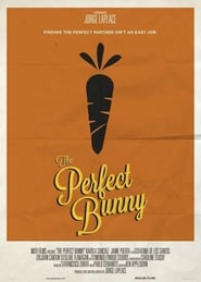 The perfect Bunny' Poster