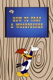 How to Trap a Woodpecker' Poster