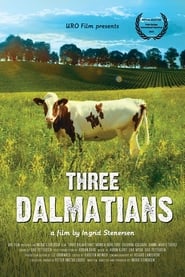Tre dalmatinere' Poster