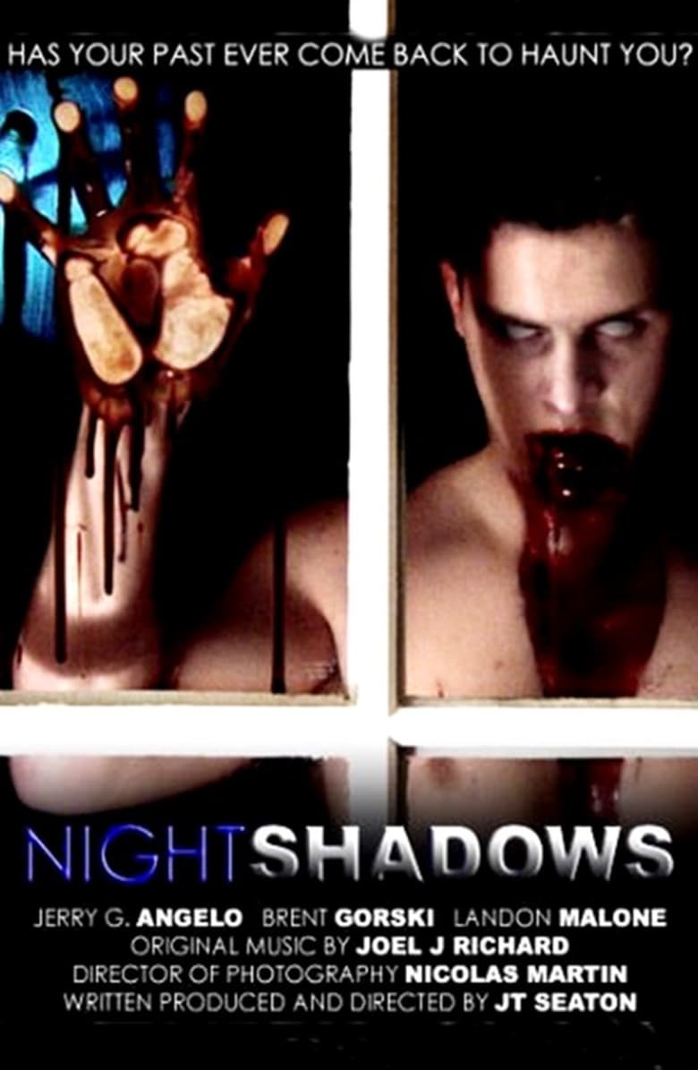 Nightshadows Poster