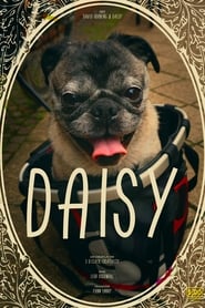 Daisy' Poster