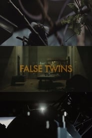 False Twins' Poster