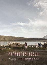 Papalotes rosas' Poster