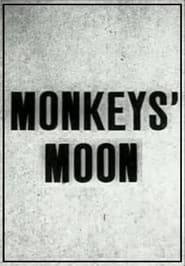 Monkeys Moon' Poster
