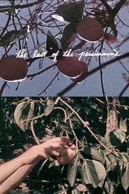 Last of the Persimmons' Poster