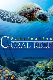 Fascination Coral Reef 3D' Poster