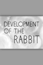 Development of the Rabbit' Poster